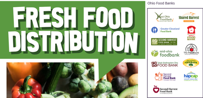 A green and white photo of vegetablesDescription automatically generated